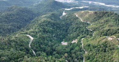 Proyek Emas Pani