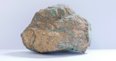 Harum: Strong Revenue Growth by Nickel,